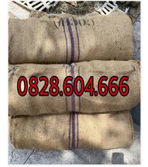 Bao tải quấn bầu cây công trình