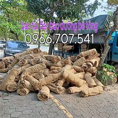 Cung cấp bao tải đay cuốn bầu cây công trình